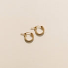 everyday hoops, gold-filled hoops, essbe, michigan, small business, gift idea for her, sterling silver hoops, simple hoops, waterproof earrings, trendy hoops, everyday jewelry, 13mm hoops, 19mm hoops, 29mm hoops